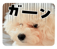 802846003