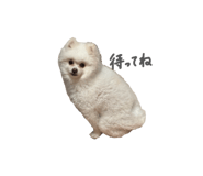 802866252