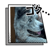802868777