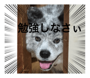 802868779