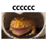 802887346