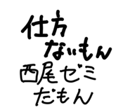 802909425