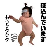 802912404