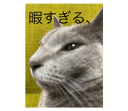 802925581
