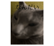 802925582