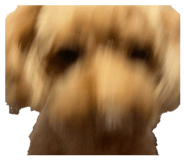 802927390