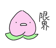 802940865
