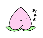 802940877