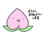 802940884