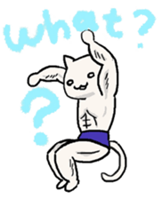 80295