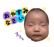 802955564