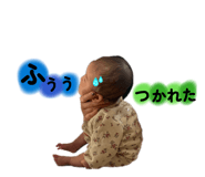 802955571