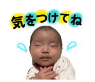 802955575