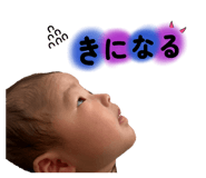 802955589