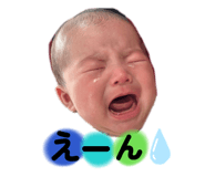 802955590