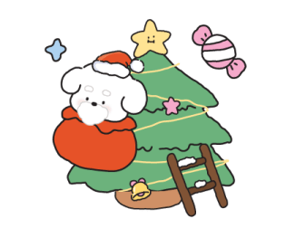 ลายที่ 13