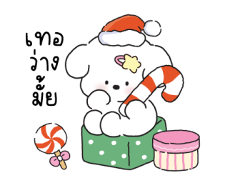 ลายที่ 23