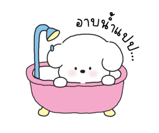 ลายที่ 65