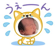 803012319