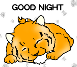 8030178