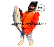803044979