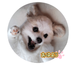 803046352