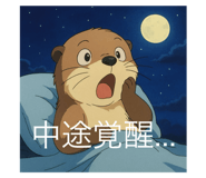 803055163