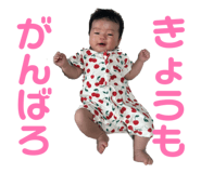 803062022