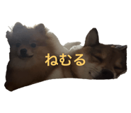 803062189