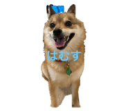 803062191