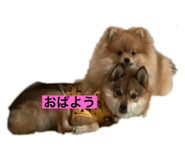 803062192