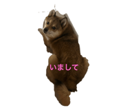 803062199