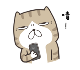 8030936
