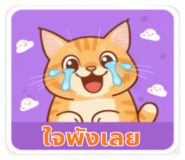 803094935