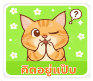803094937