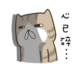 8030960