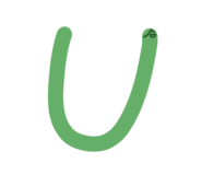 803096021