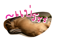 803100458