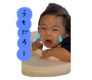 803106081