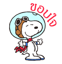8031313