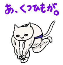80315