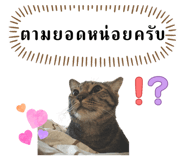 803181280