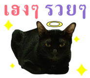 803181283
