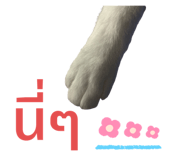 803186138