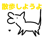 803198871