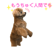803235042