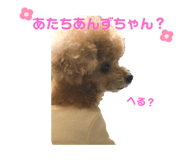 803235052