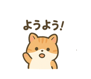 803253441