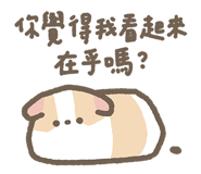 803258850