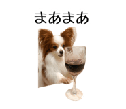 803269065